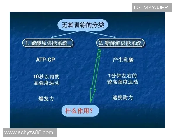 西安羽毛球队配合战术深度解析与其他队伍的对比研究 西安羽毛球队配合战术深度解析与其他队伍的对比研究