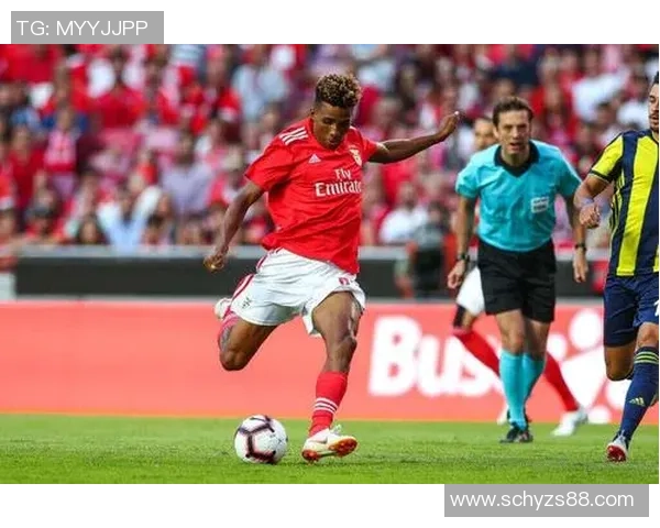 足球明星水晶球揭示未来之星的潜力与挑战 足球明星水晶球揭示未来之星的潜力与挑战